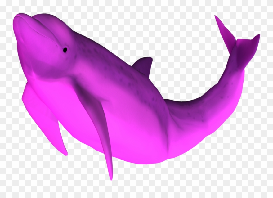 3d Dolphin Png Clipart