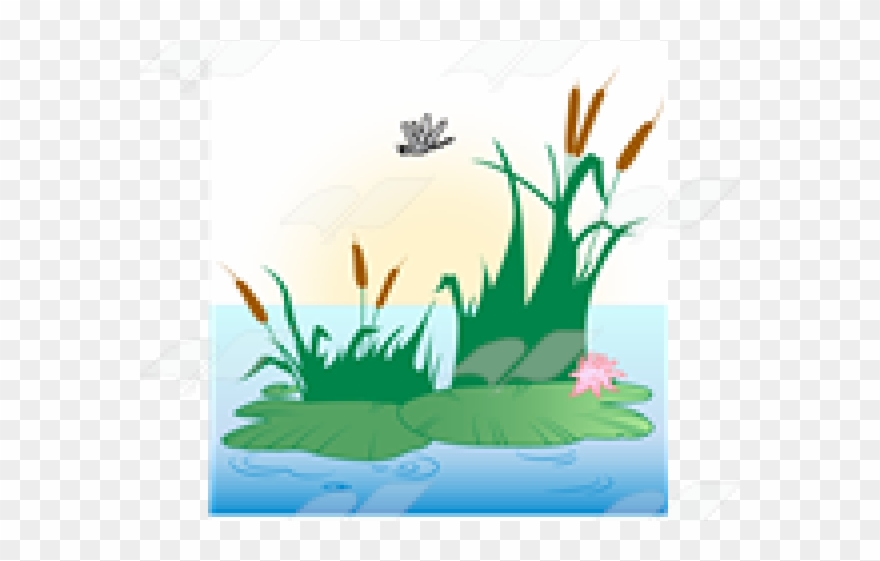 Lily Pad Clipart Pond Scene - Png Download