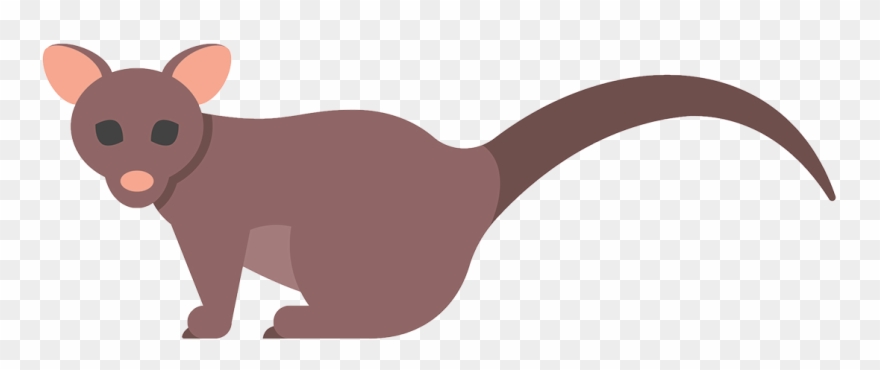 Opossum Clipart