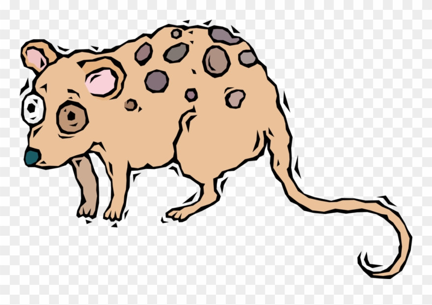 Vector Illustration Of Starry-eyed Opossum Clipart