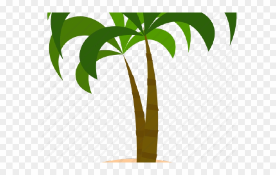 Coconut Clipart Coconut Island - Png Download