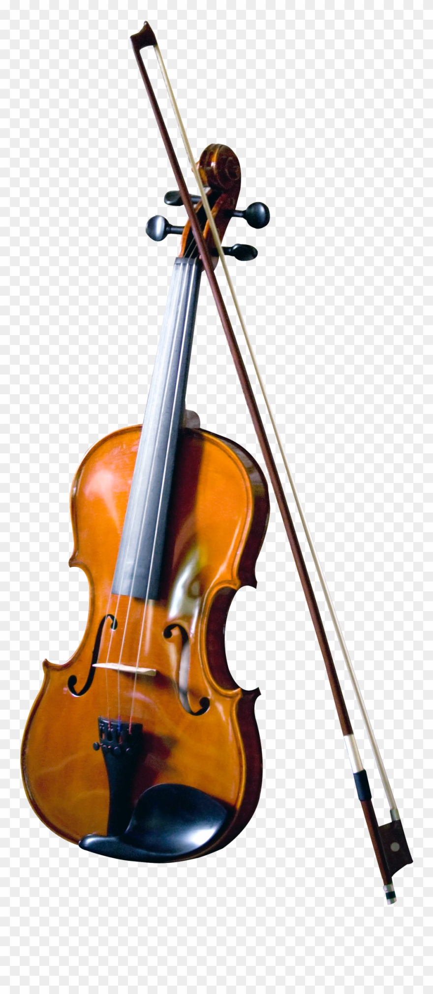 Violin Transparent Png Image Clipart