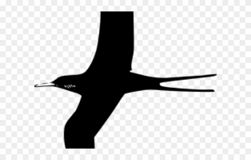 Tern Clipart Literature - Png Download