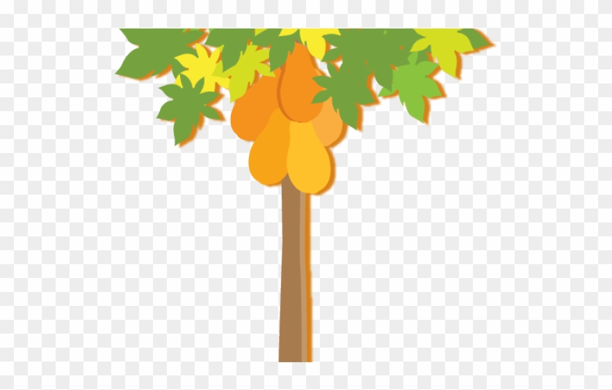 Plants Clipart Pawpaw - Png Download