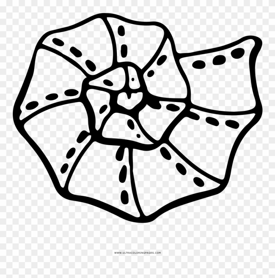 Coloring Ultra Pages Clipart