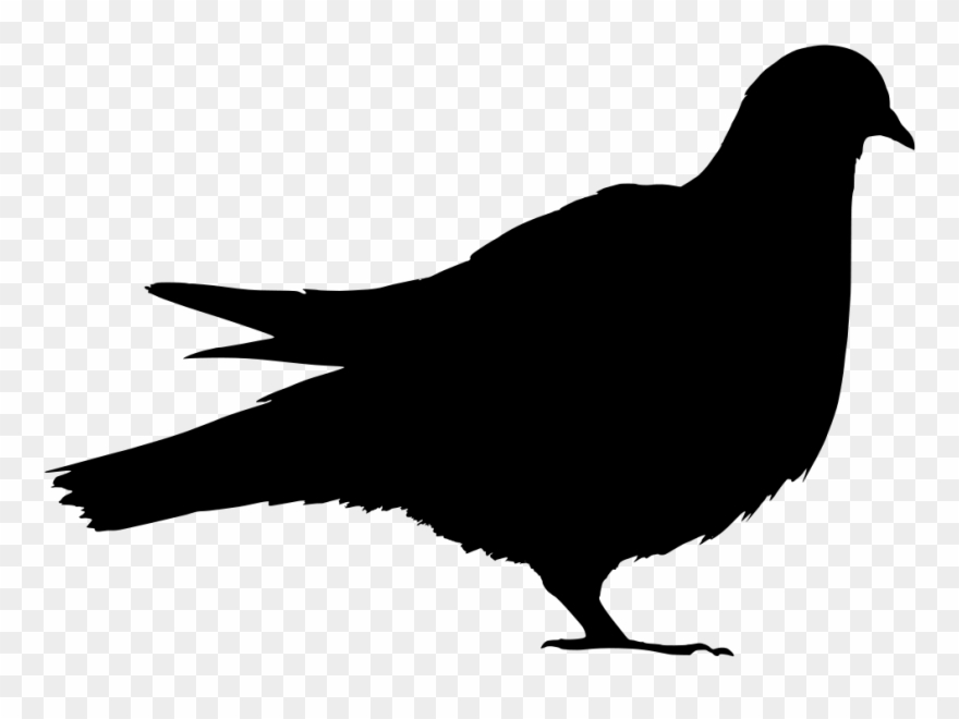 Clip Transparent Library At Getdrawings Com Free For - Png Download