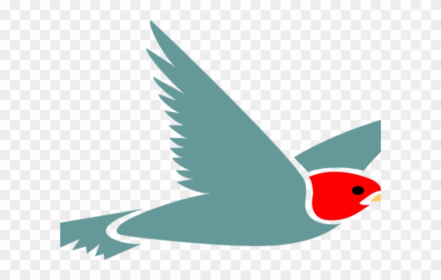 Pigeon Clipart Air Animal - Png Download