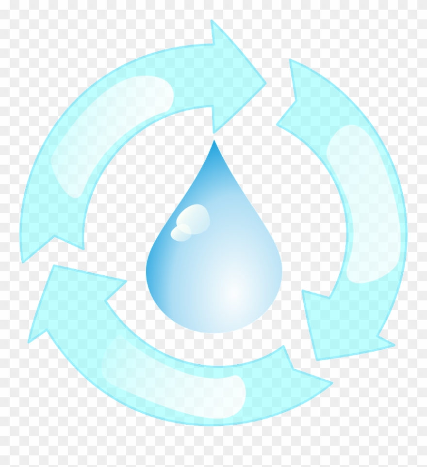 Invertebrate And Botanical Field Surveyors Clipart