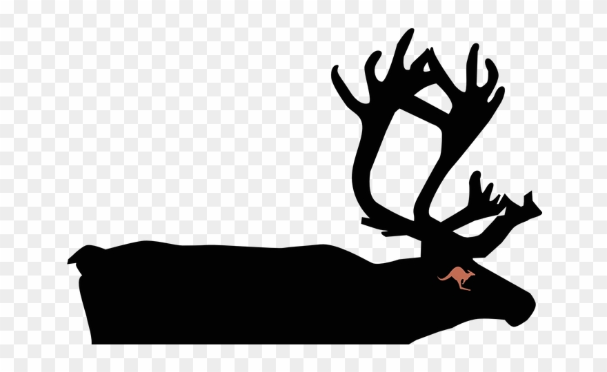 //nørthern Børn Beats // Søuthern Shaped Søunds// Clipart