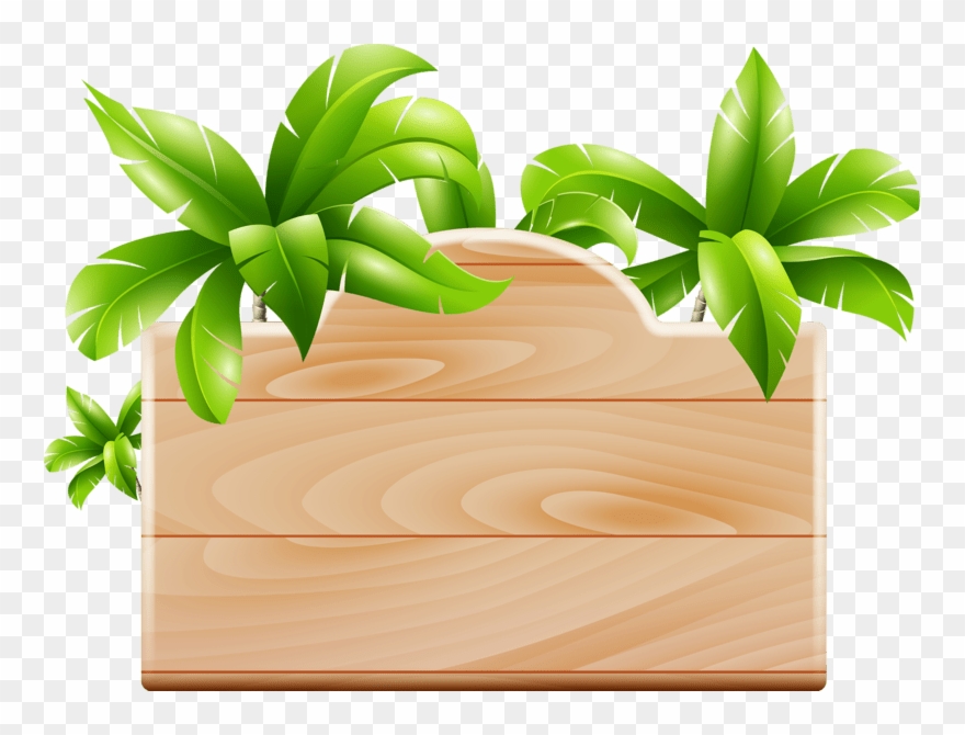 Clipart Of Florida - Png Download