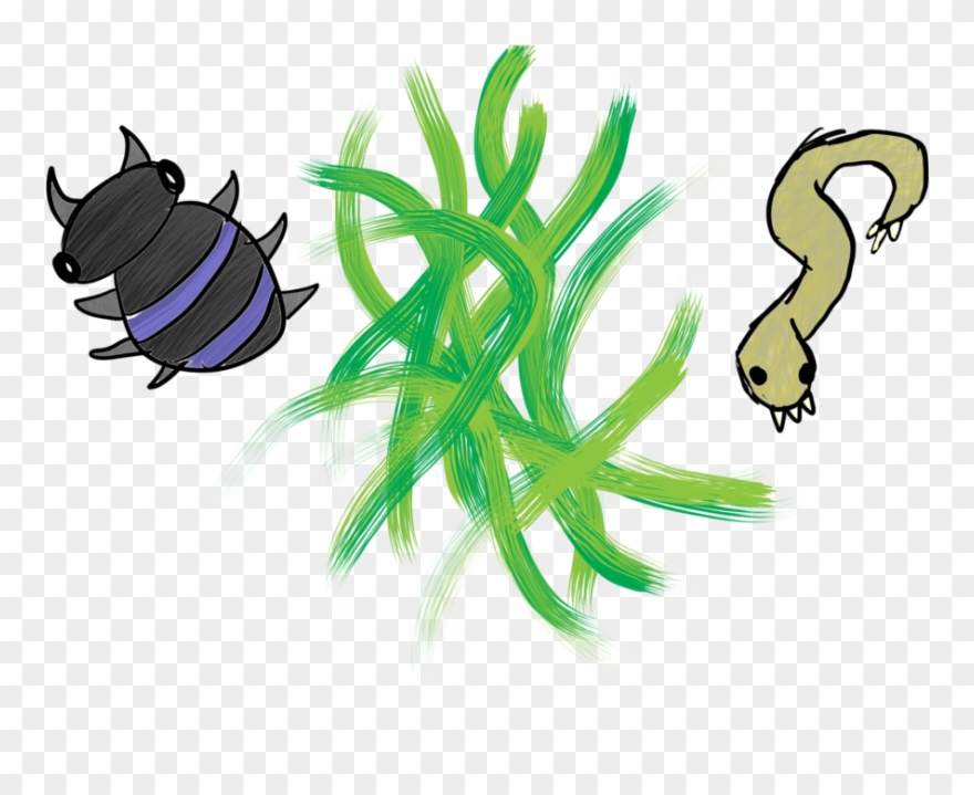 Decomposer Drawing Plant Clipart