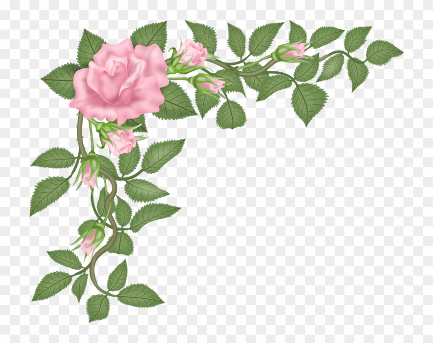 Bouquet Vector Wildflower Clipart