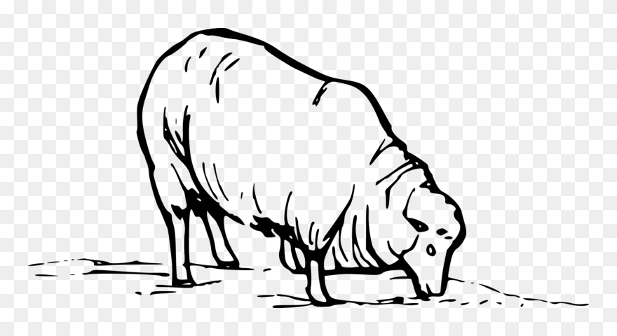 Free Sheep Eating - Sheep Clip Art - Png Download