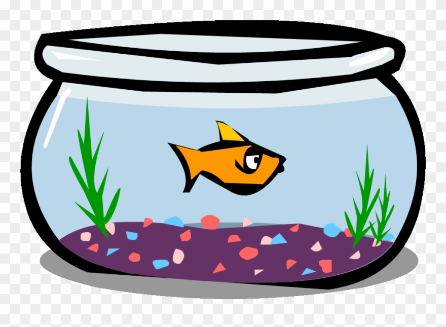 Image Png Club Penguin Rewritten Wiki Fandom - Arts On Fish Bowl Clipart