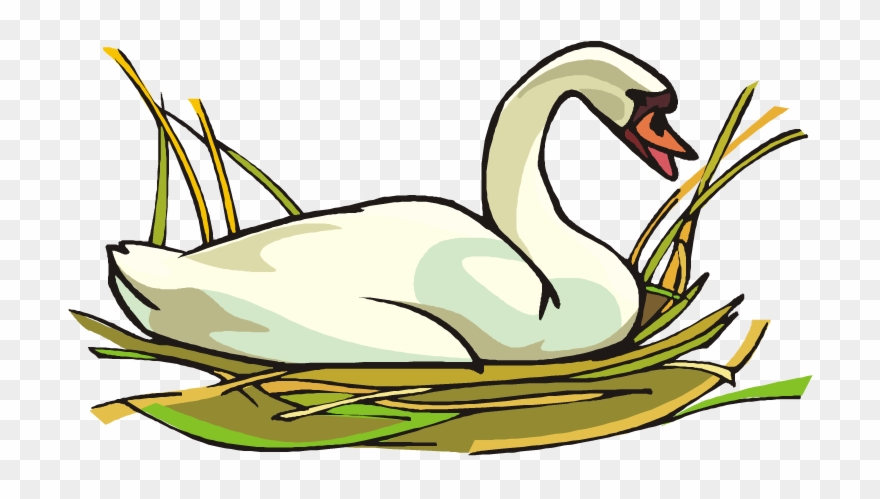 Swan Clipart Transparent - Swan Clipart - Png Download
