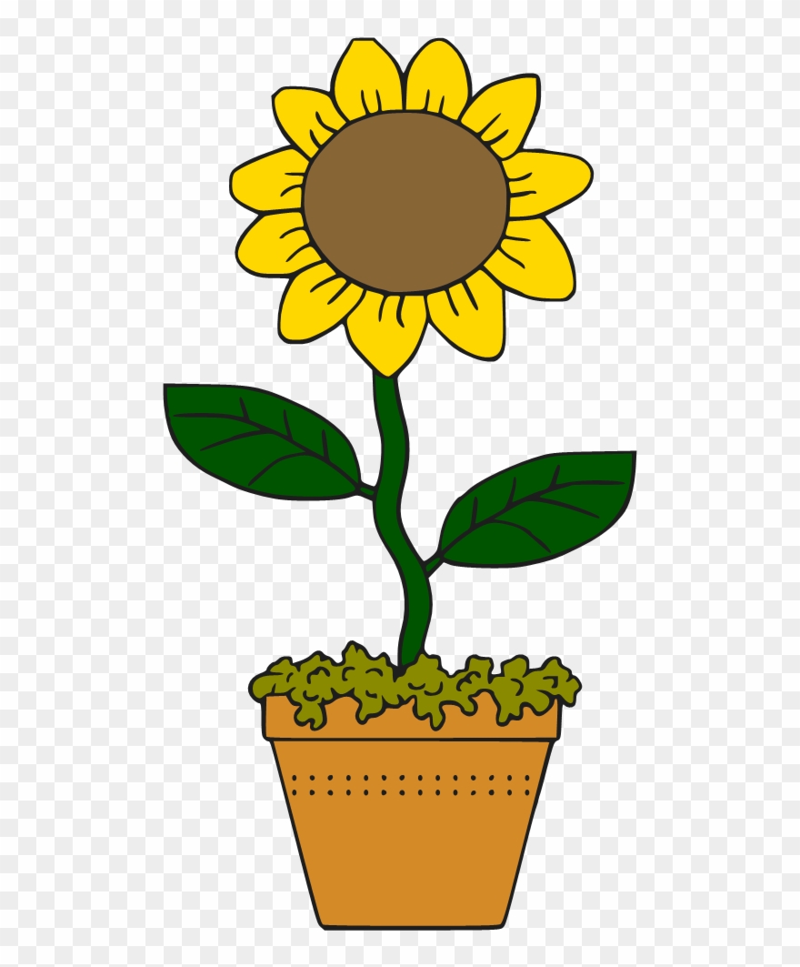 Victorian Sunflower Clipart Png - Sun Flower Cartoon Png Transparent Png