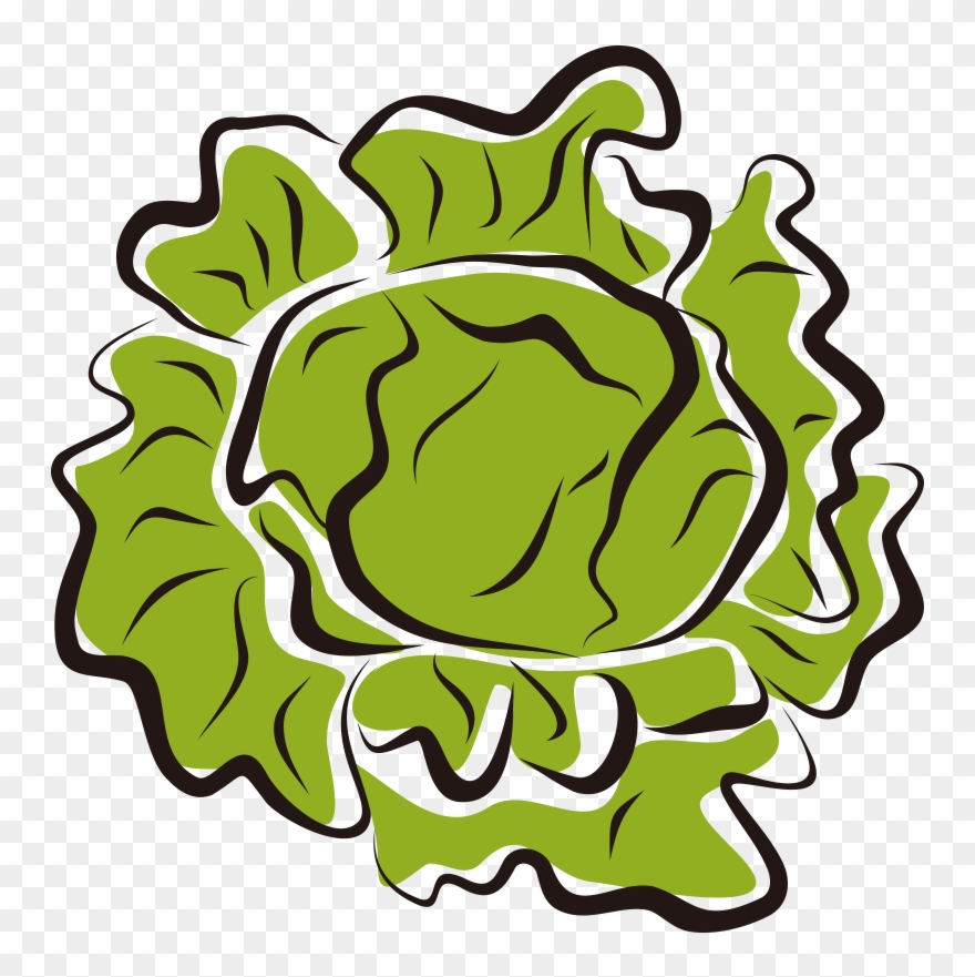 Iceberg Salad Clip Art Royalty Free - Lettuce Clip Art - Png Download
