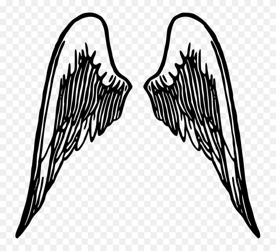 How To Draw Wings Angel Wings Clip Art, Angel Wings - Png Download