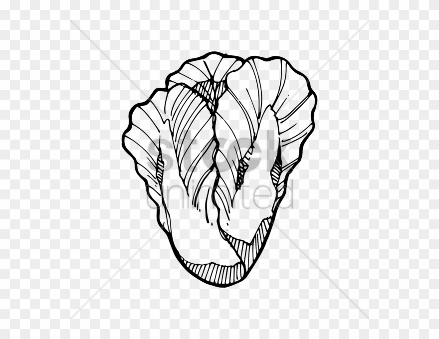 Drawing At Getdrawings Com Free For Personal Clipart