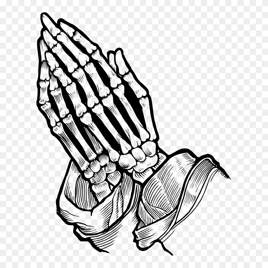 All Photo Png Clipart Transparent Png