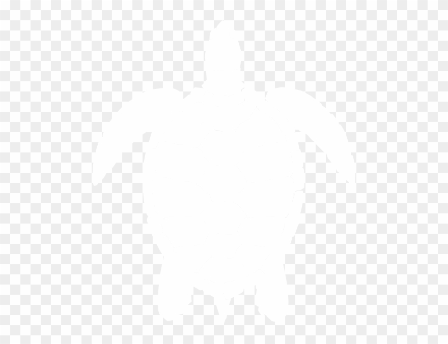 Black And White Sea Turtle Clipart - Png Download