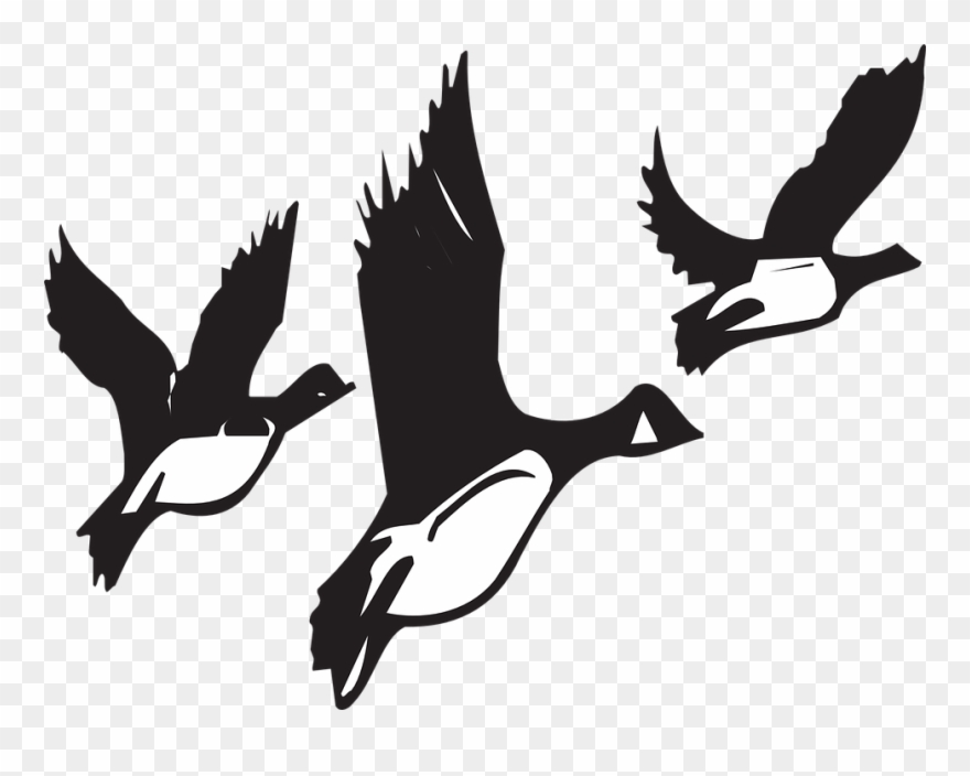 Migrating Birds Clipart - Birds Migrating Black And White - Png Download