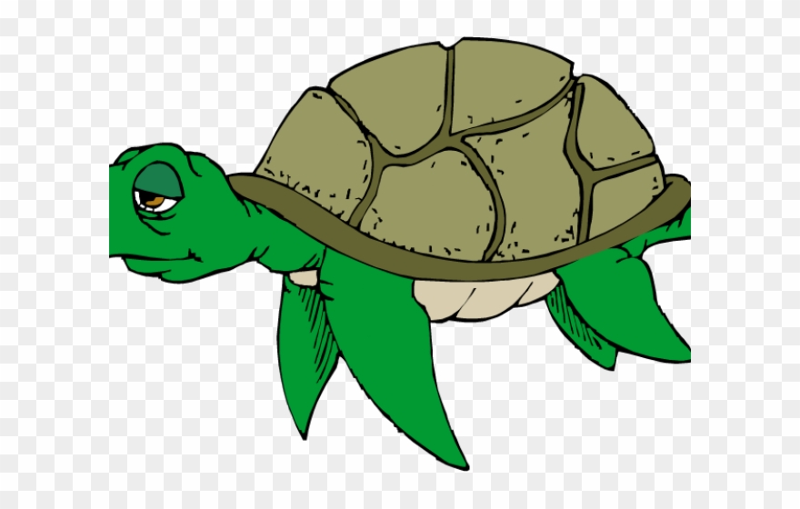 Sea Turtle Clipart Cute - Cartoon Sea Turtle - Png Download