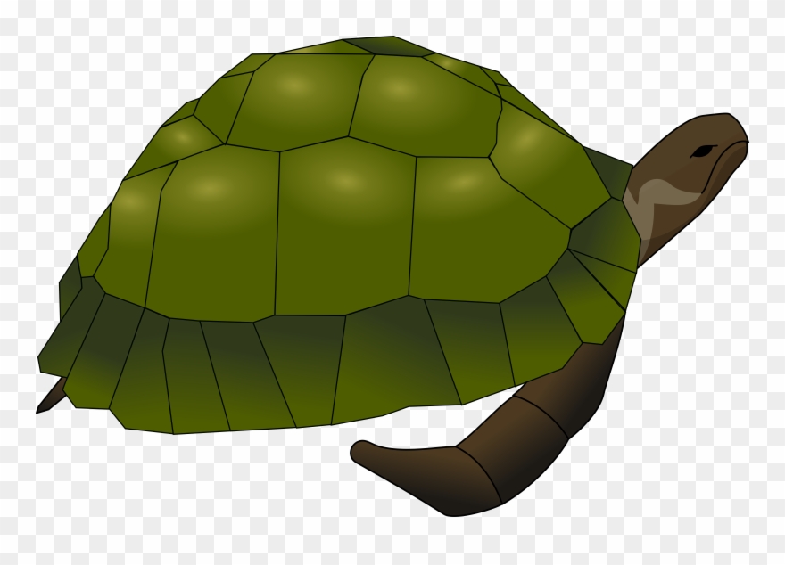 Green Sea Turtle Reptile Turtle Shell - Saint Kateri Tekakwitha Turtle Clipart