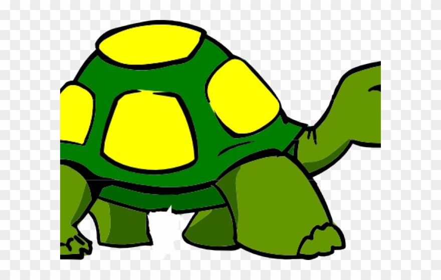 Cartoon Transparent Tortoise Png Clipart