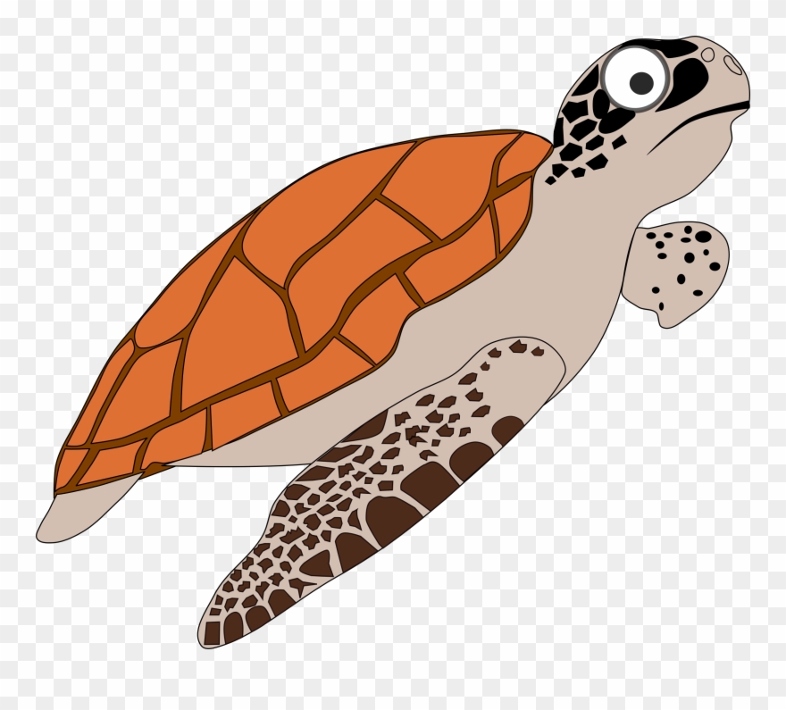 Sea Turtles - Clipart - Loggerhead Sea Turtle Clipart - Png Download