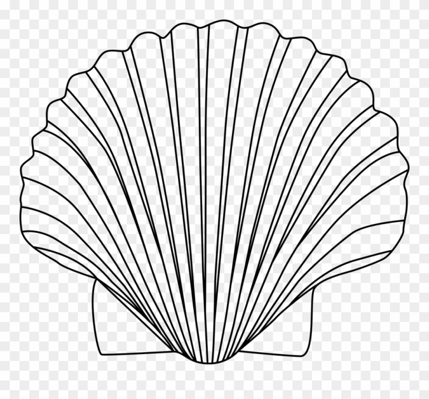 Bivalve Clip Art Shell - Black And White Shell Clip Art - Png Download