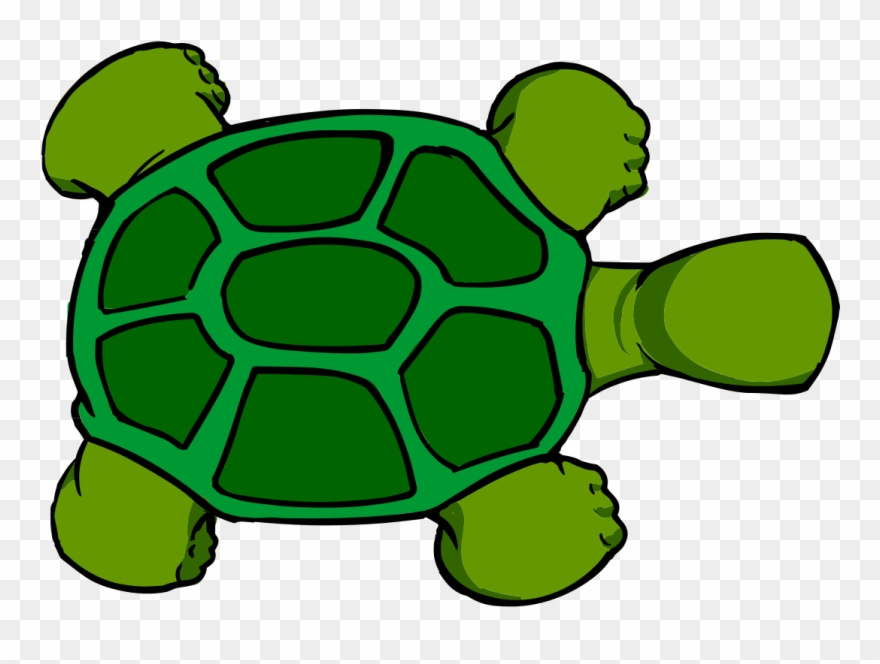File Kturtle Top View Svg Wikimedia Commons - Turtle Cartoon Top View Clipart