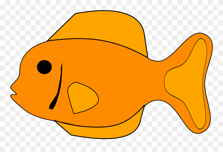 All Photo Png Clipart - Clip Art Transparent Png