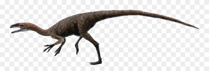 Free To Use &, Public Domain Dinosaur Clip Art - Realistic Dinosaur Clip Art - Png Download