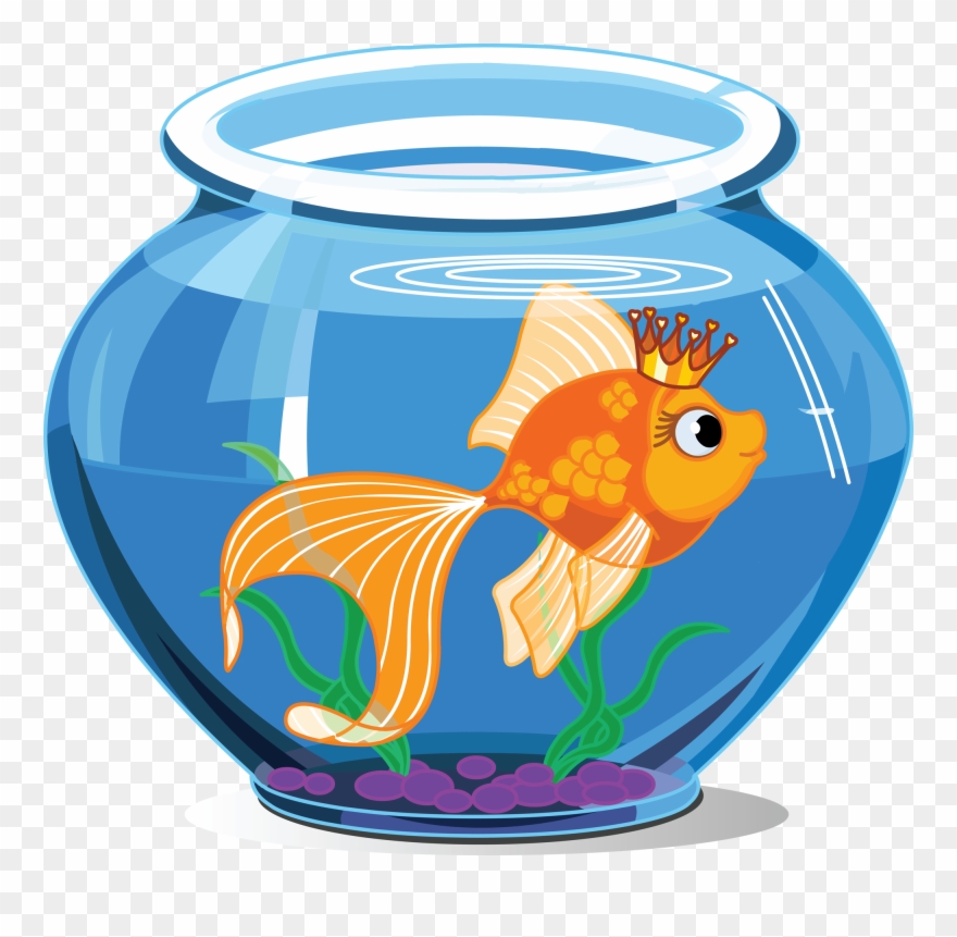 Tropical Fish Pet Pencil - Fish In A Bowl Clipart - Png Download