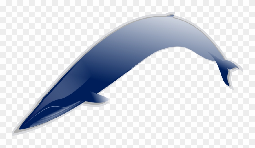 All Photo Png Clipart Transparent Png