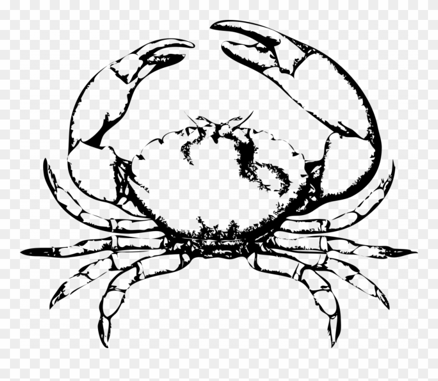 Energy Drawings Of Crabs Blue Crab Drawing Clipart - Crab Clip Arts Black And White - Png Download
