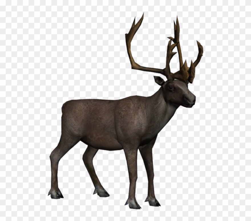 Cottage Clipart Summer - Caribou Transparent - Png Download