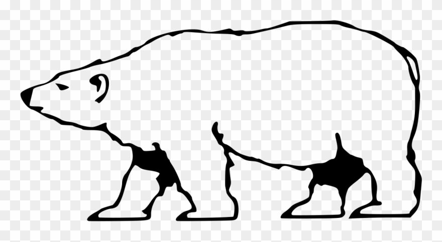 Eisbär Clipart - Karlsruhe Zoo - Png Download