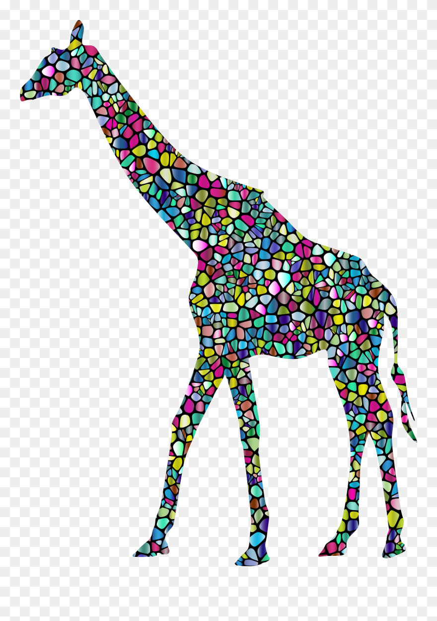 Baby Giraffes West African Giraffe Vertebrate Northern - Giraffe Background Clipart