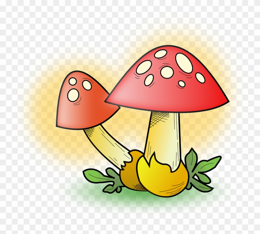 Explique Los Ejemplos Que Presenta El Texto En Lo Referente - Mushroom Clip Art - Png Download