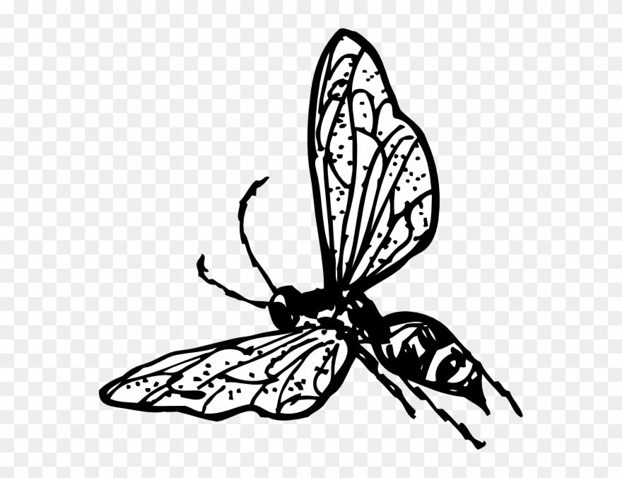 Free Vector Wasp Clip Art - Wasp Clip Art - Png Download