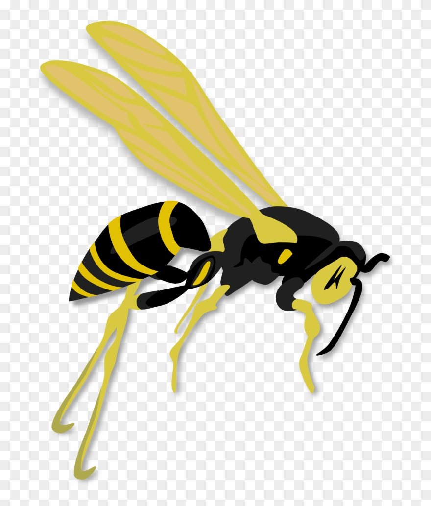 Onlinelabels Clip Art - Wasp Clipart - Png Download