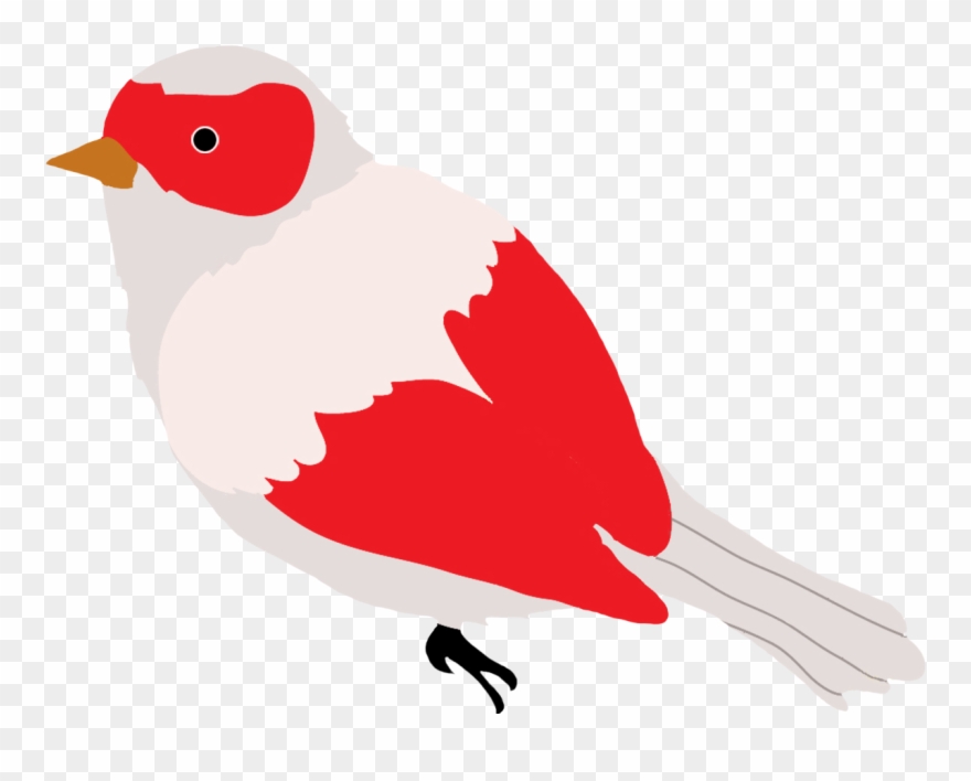 Green Colored Bird Drawing - Birds Clipart Drawings - Png Download