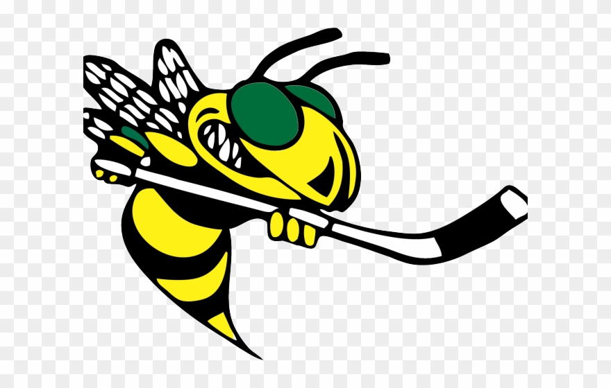Hornet Clipart Baker - Hornets - Png Download