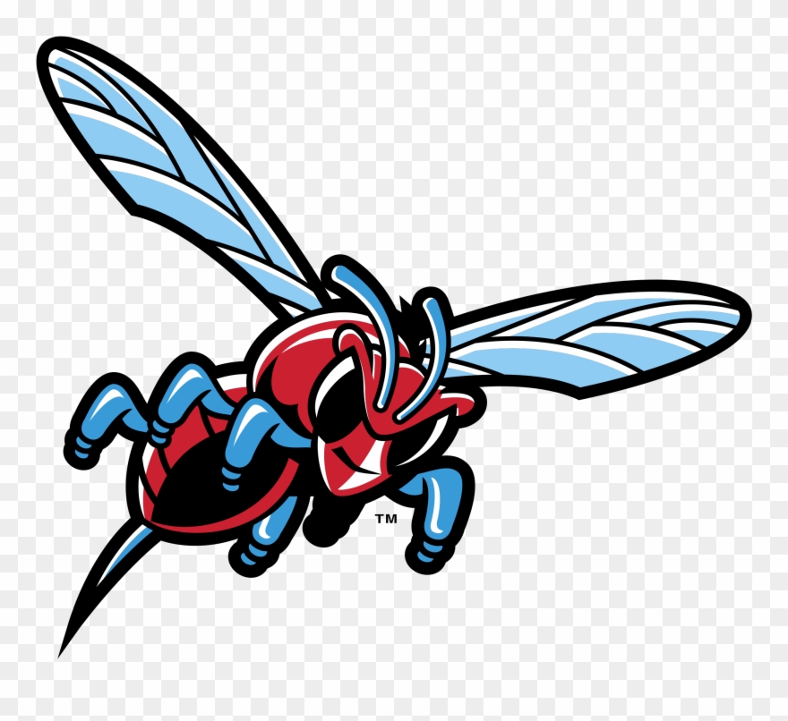Delaware State Hornets Logo Png Transparent Vector - Delaware State University Hornets Logo Clipart