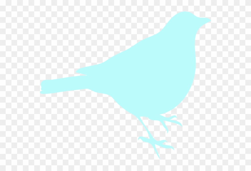 Original Png Clip Art File Sea Foam Blue Bird Svg Images Transparent Png