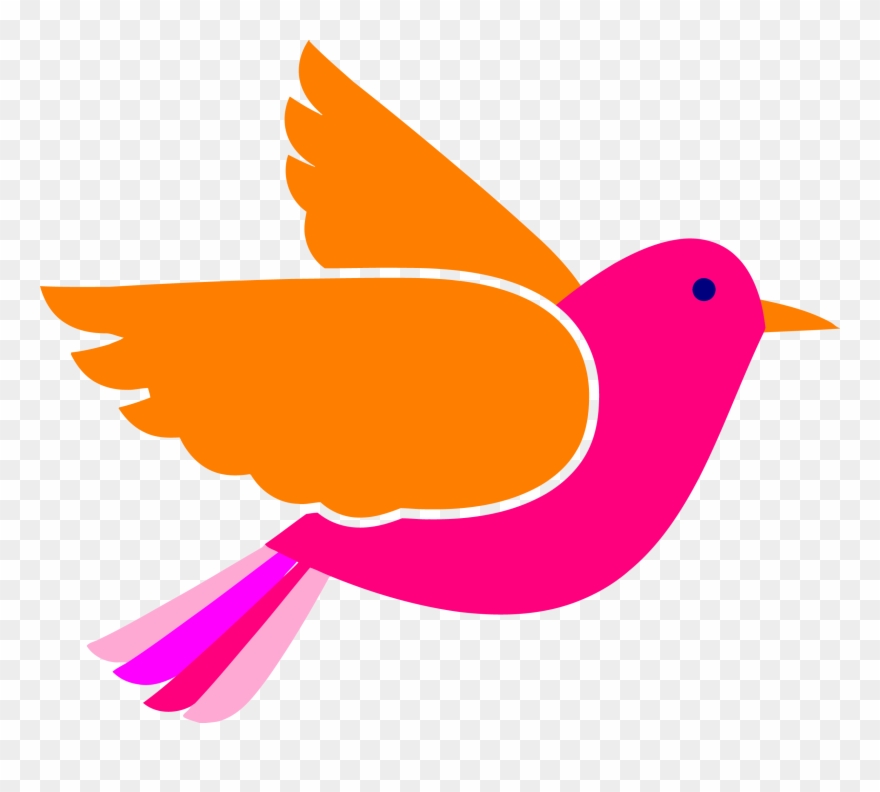 Bird Face Clip Art Pink Birds Png Transparent Png
