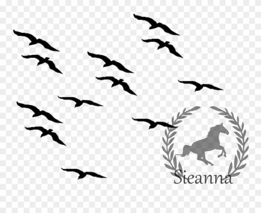 Silhouette Bird Flying 2 Clipart - Bird Fly Clip Art Black And White - Png Download