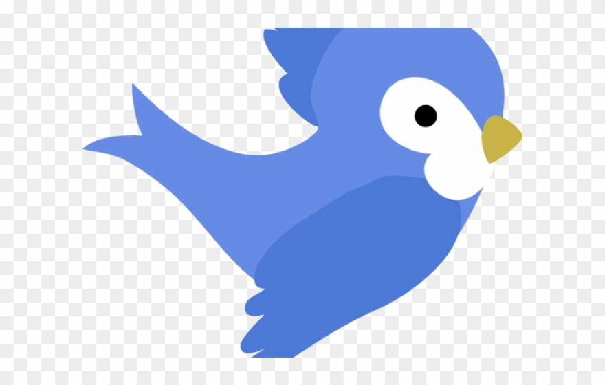 Bluebird Clipart Snow White - Snow White Bird Png Transparent Png